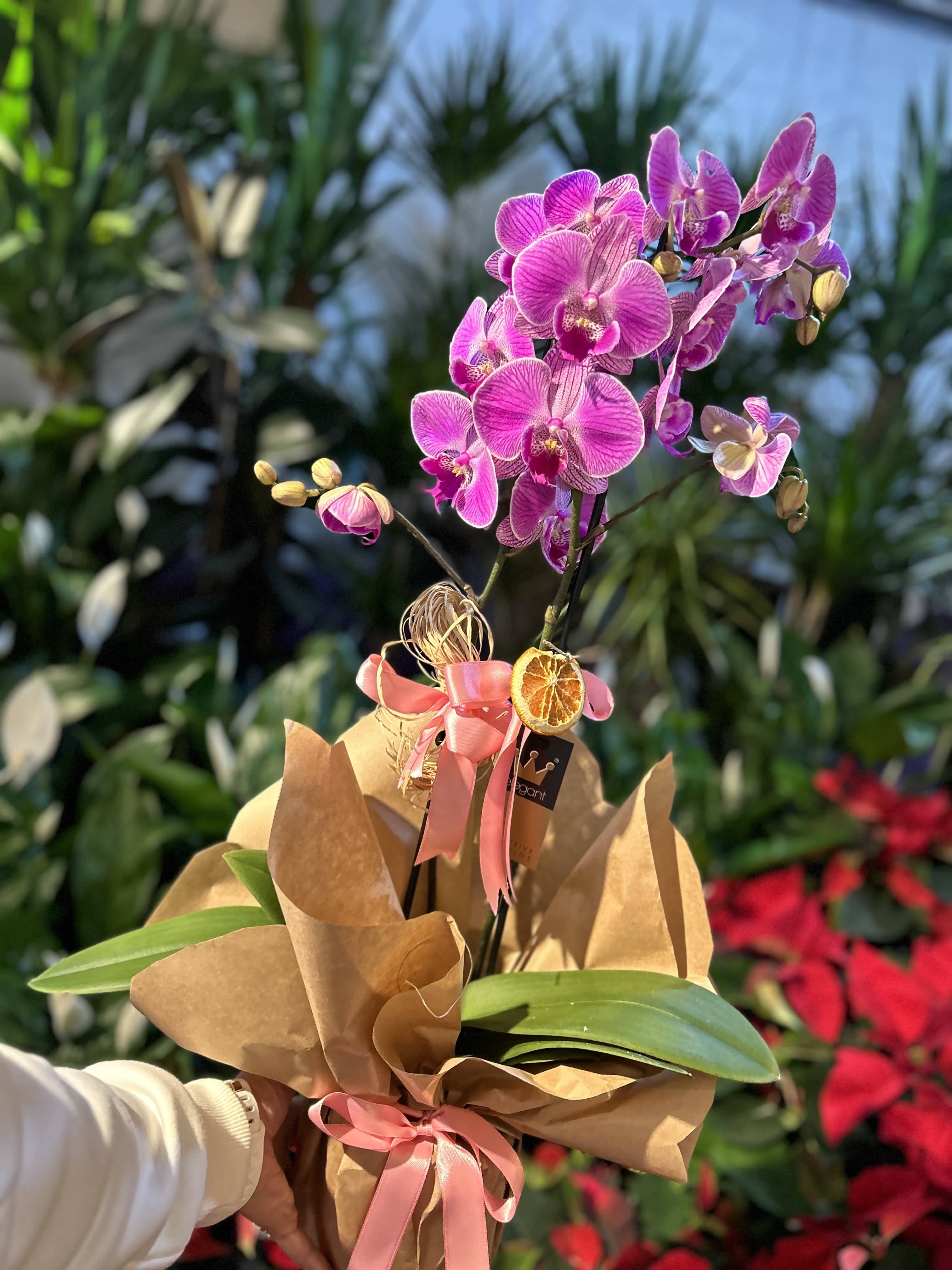 butik-ozel-orkide