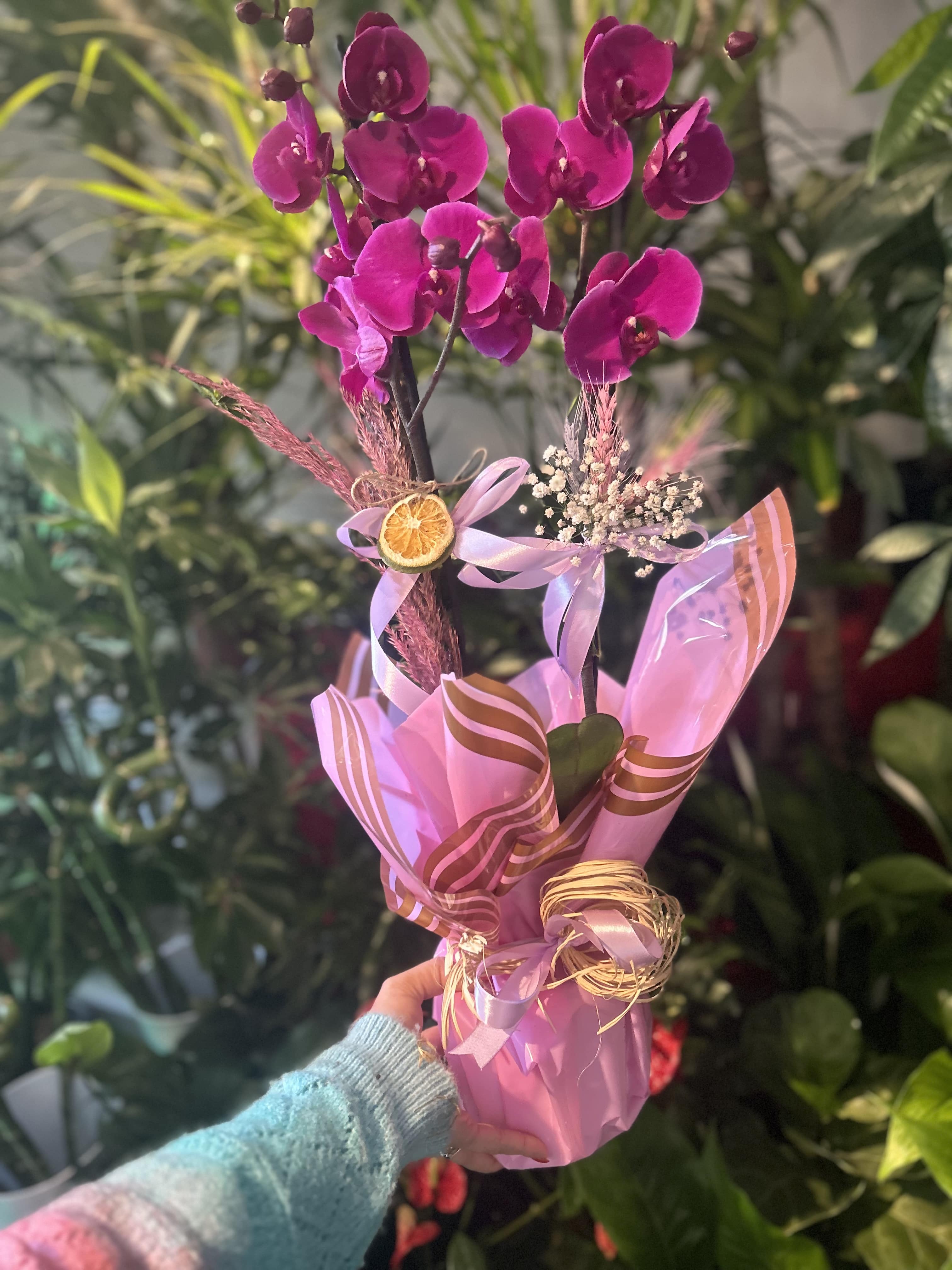 ozel-renk-butik-orkide